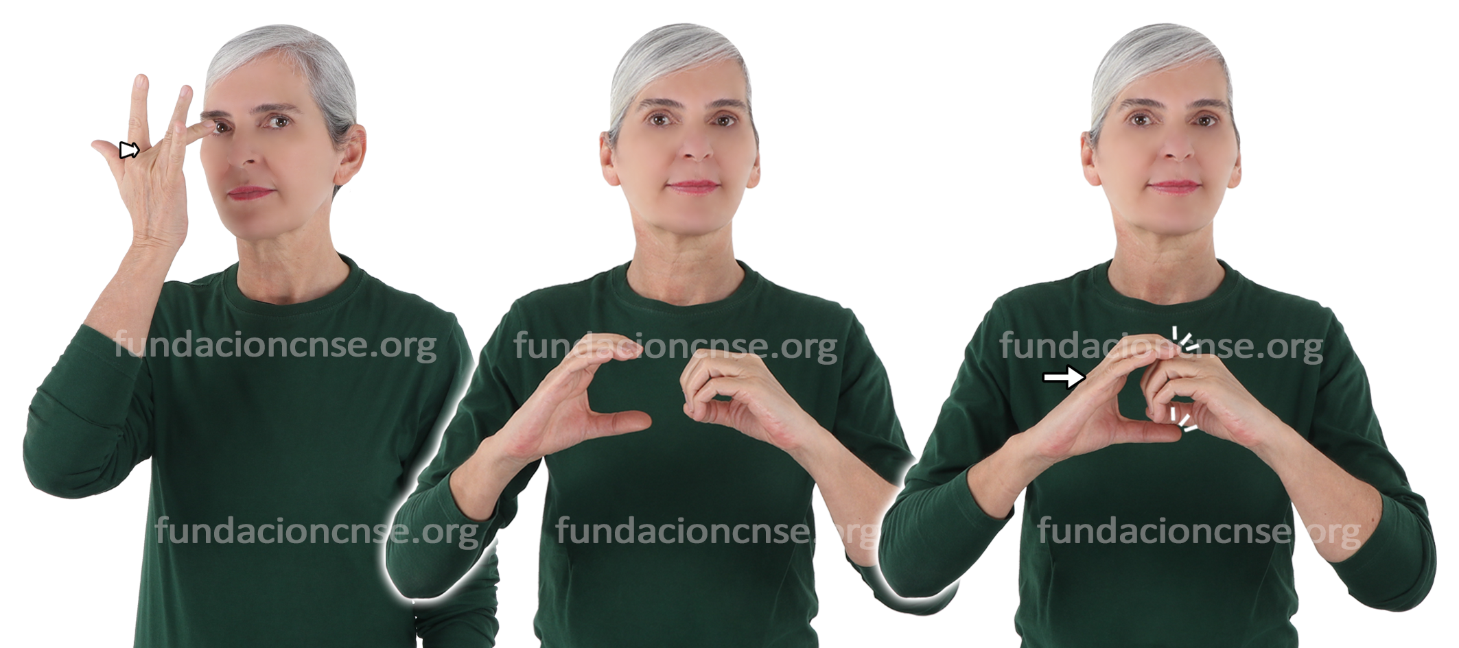 adaptaci�n cerrada