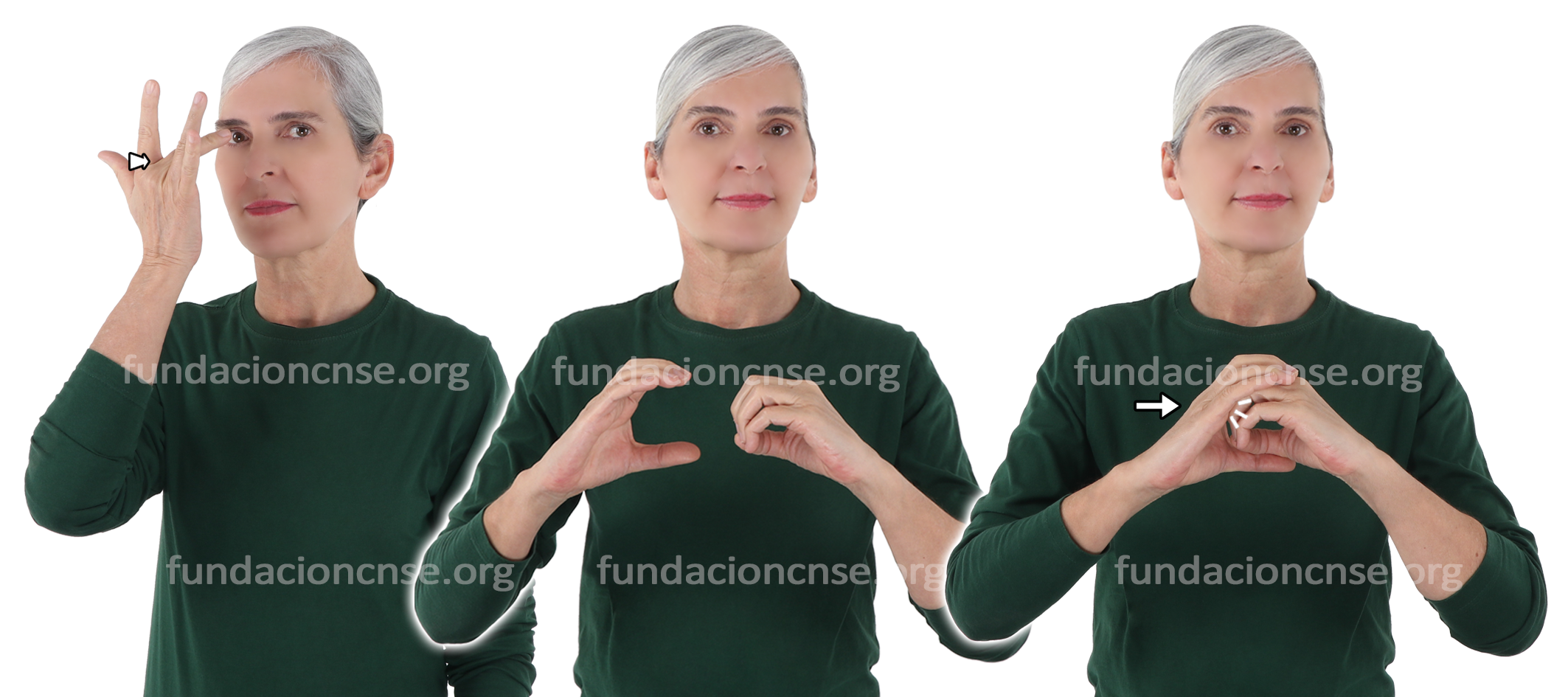 adaptaci�n paralela