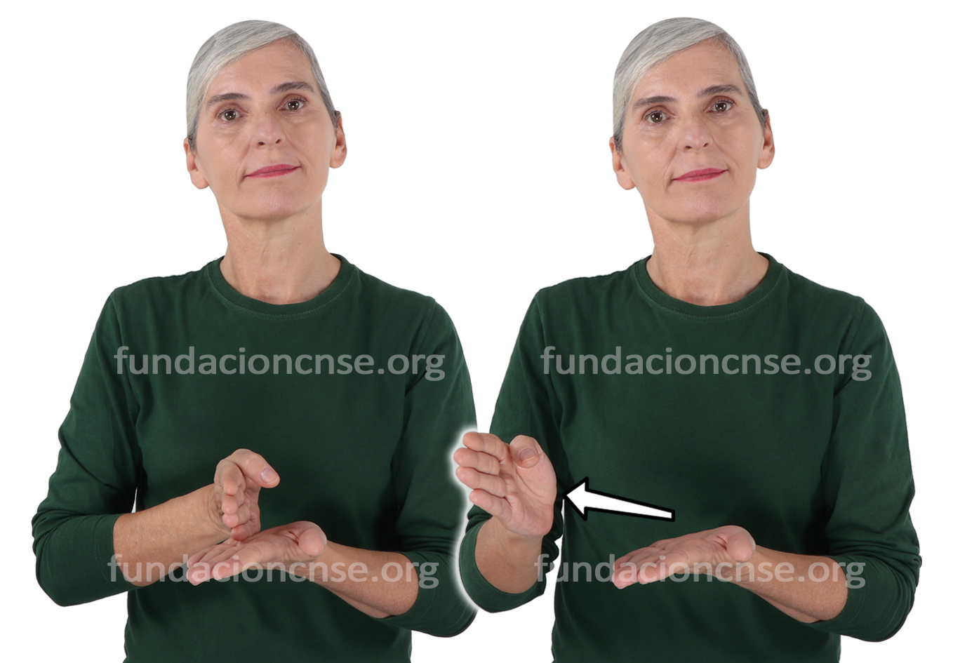 <b>alternativo</b>, va