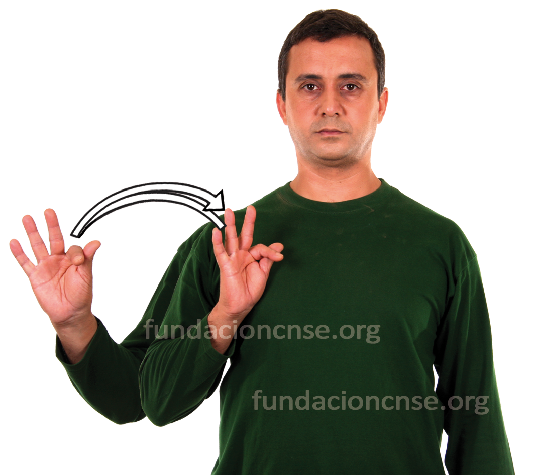 <b>alternativo</b>, va