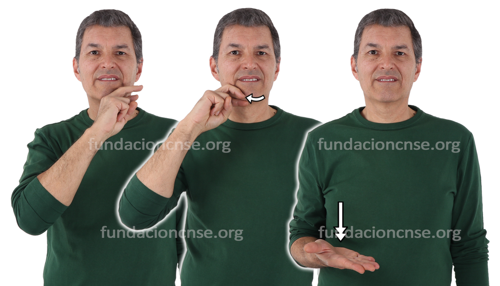 <b>apreciar</b>