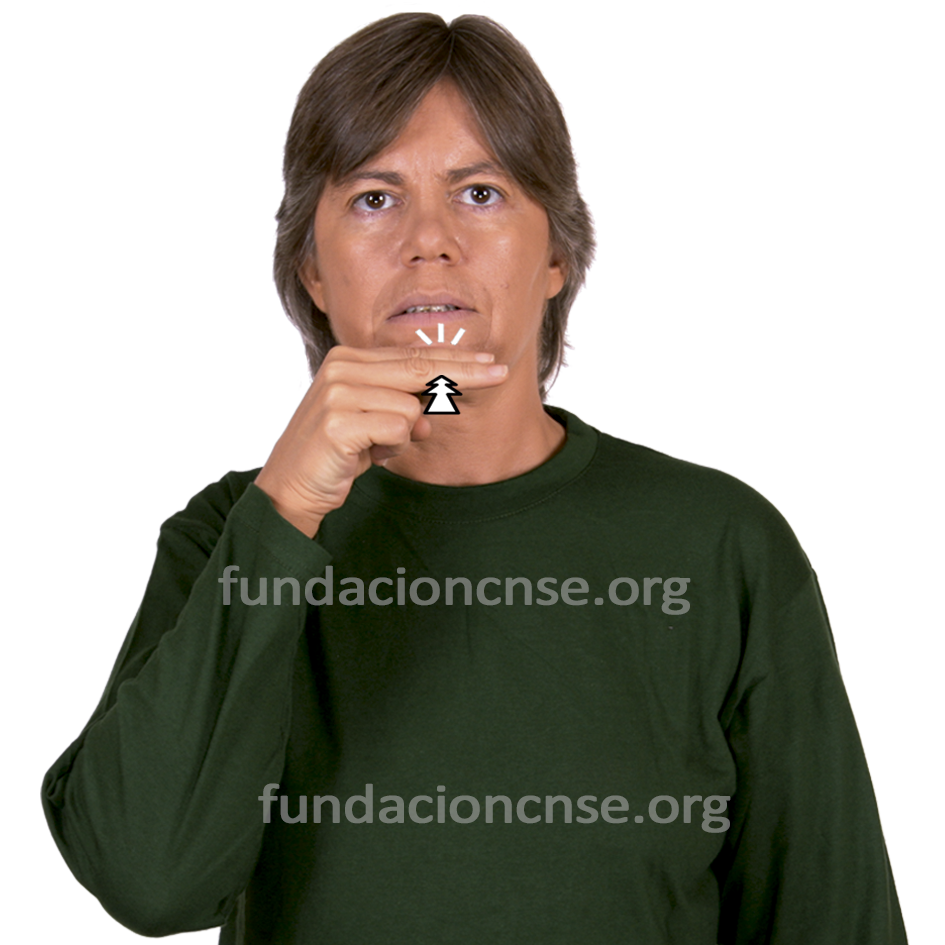 <b>aseo</b>