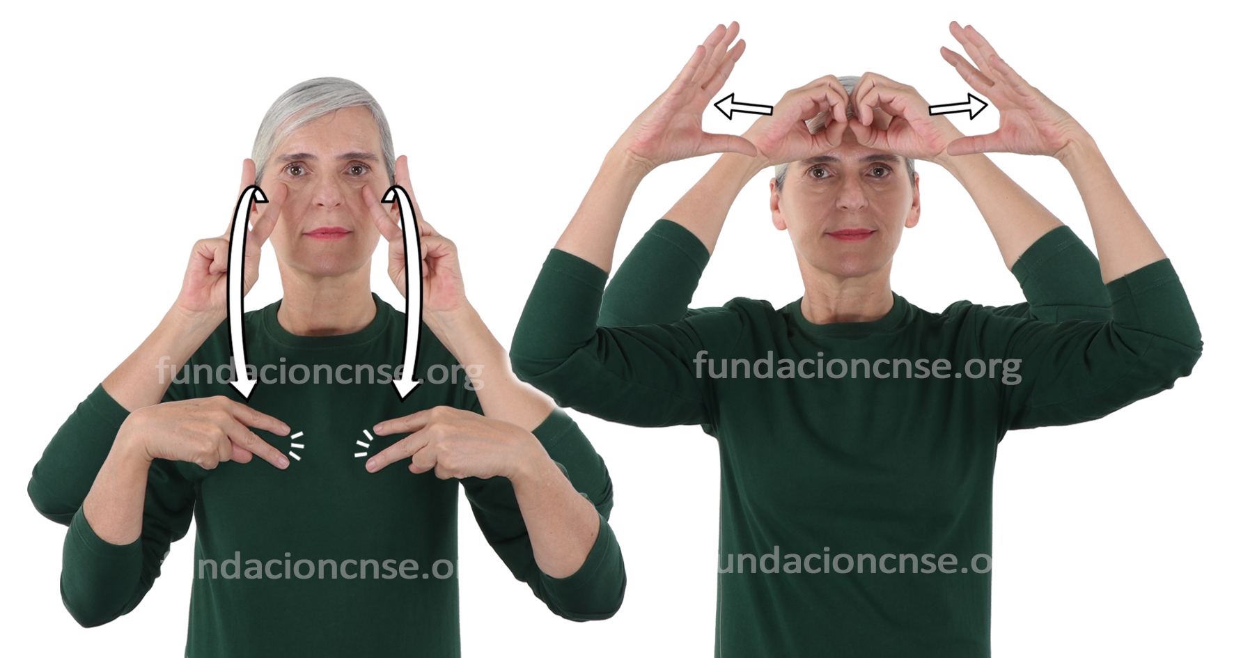 <b>autoconcepto</b>