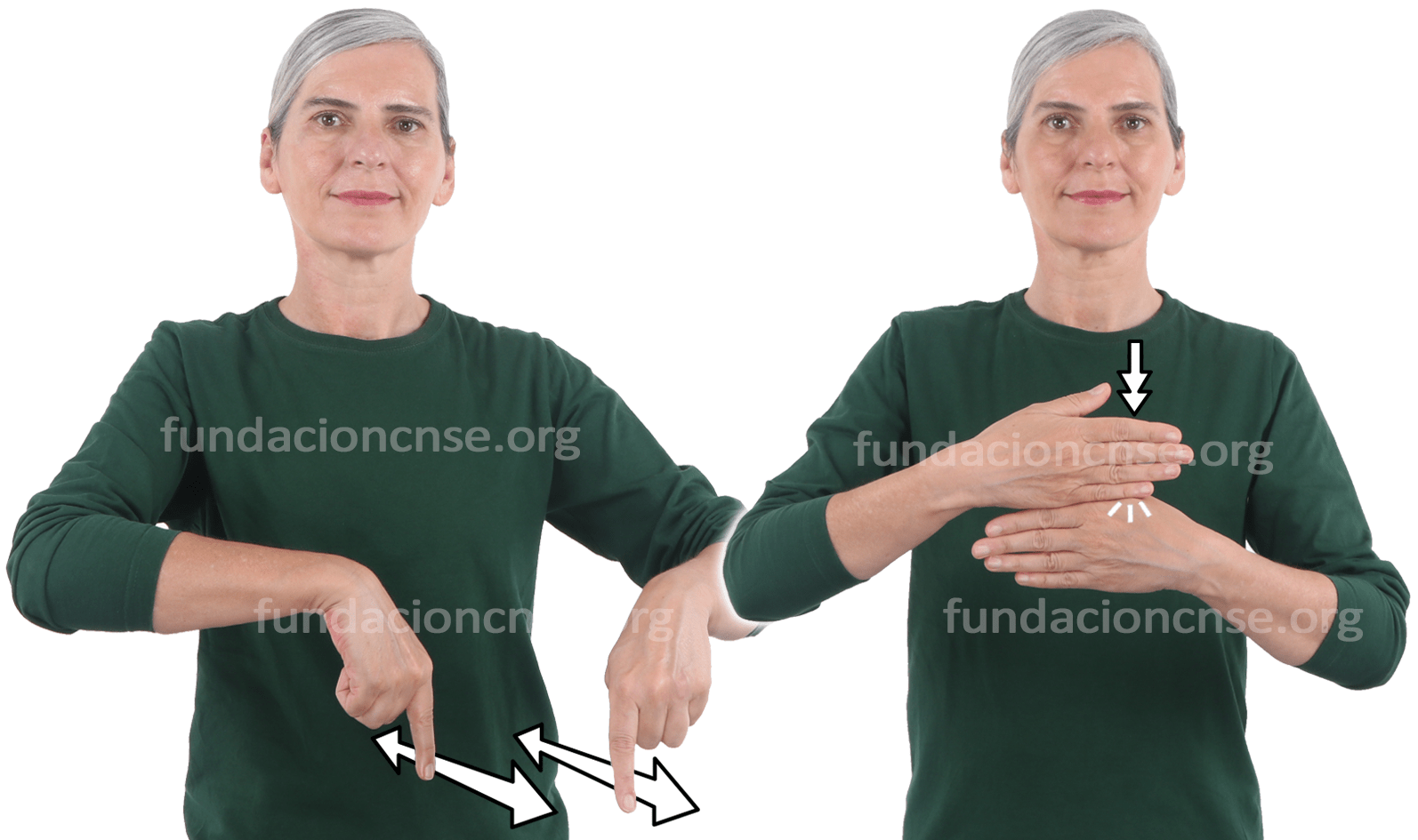 <b>barrera</b> (<img src='https://fundacioncnse-dilse.org/bddilse/images/cuadro-sublema.png' style='width: 20px;height: 18px;'><b>barrera</b> de transporte)