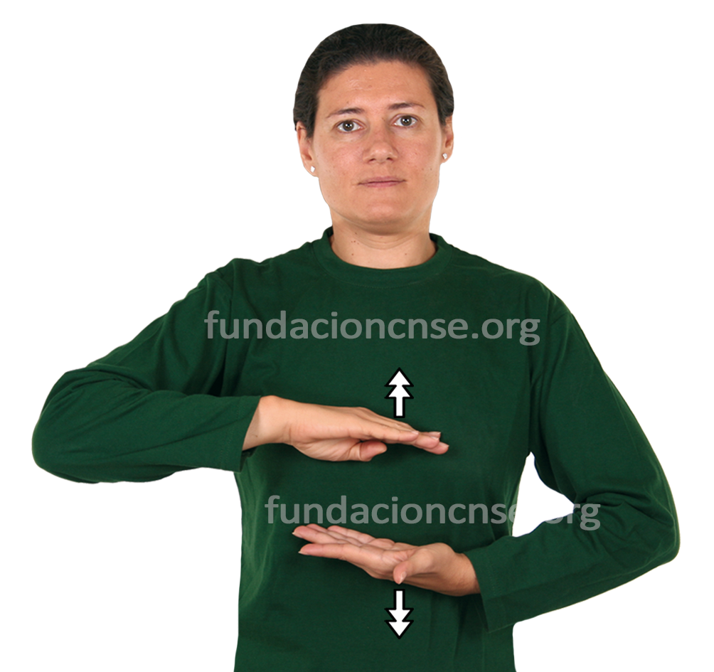 <b>capacidad</b>