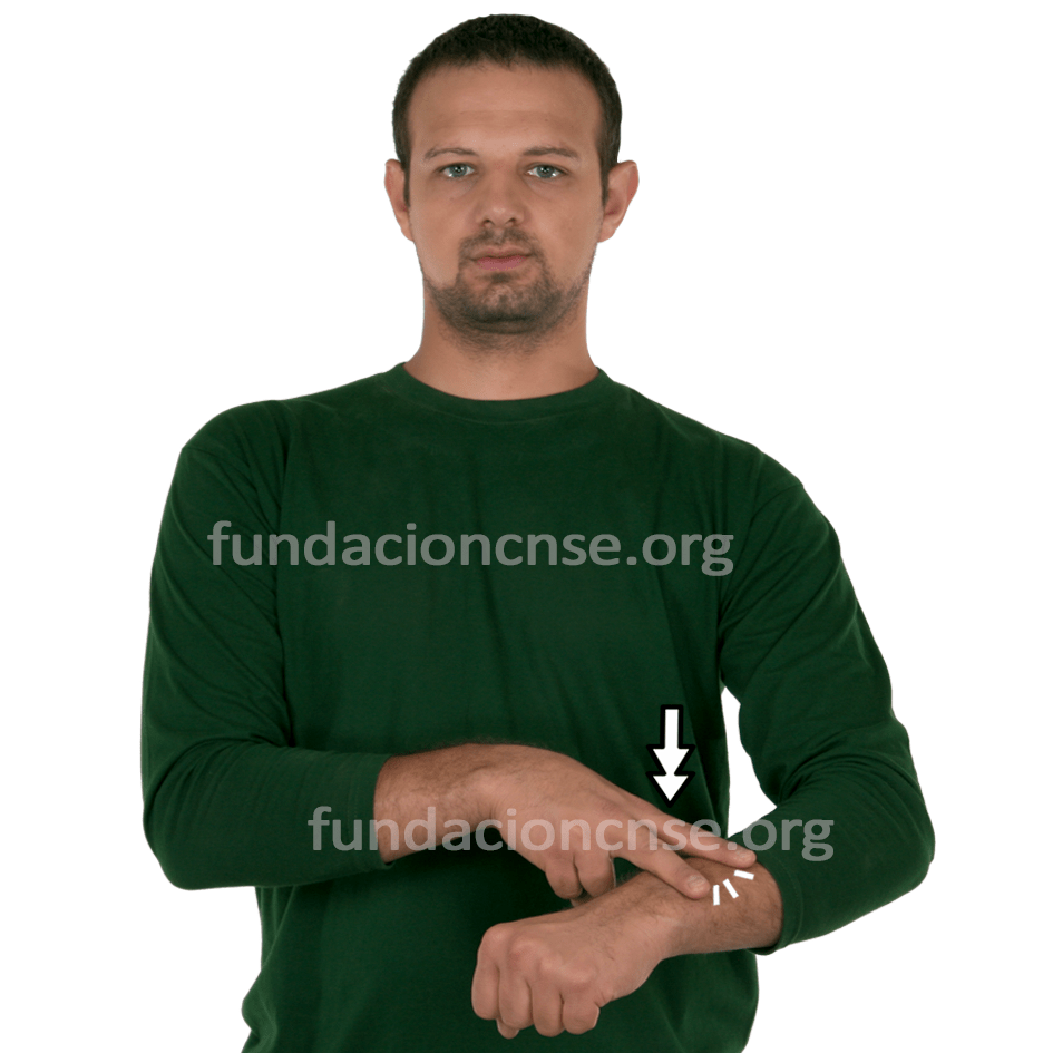 delegaci�n