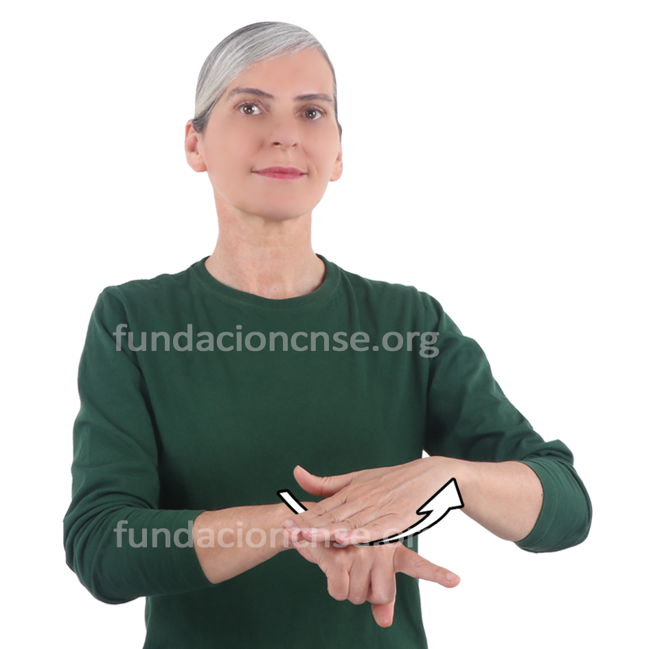 <b>desarrollo</b>