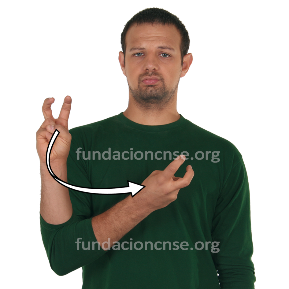 <b>diversidad</b>