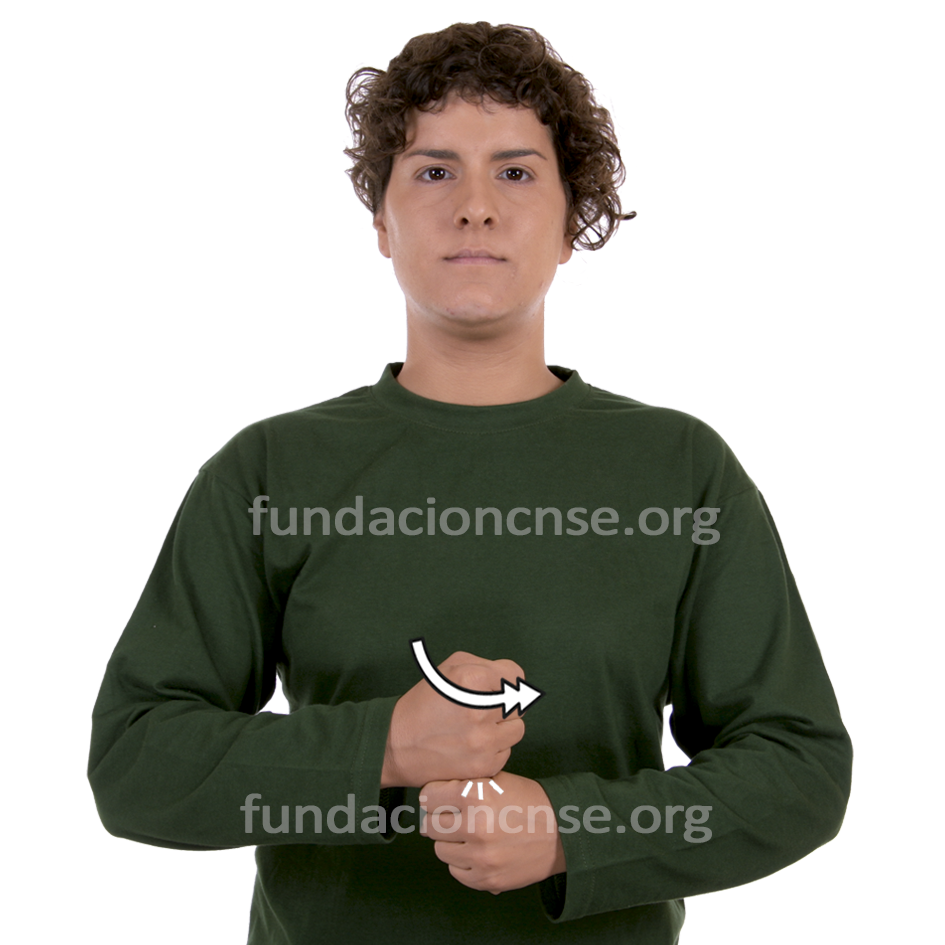 <b>empleabilidad</b>