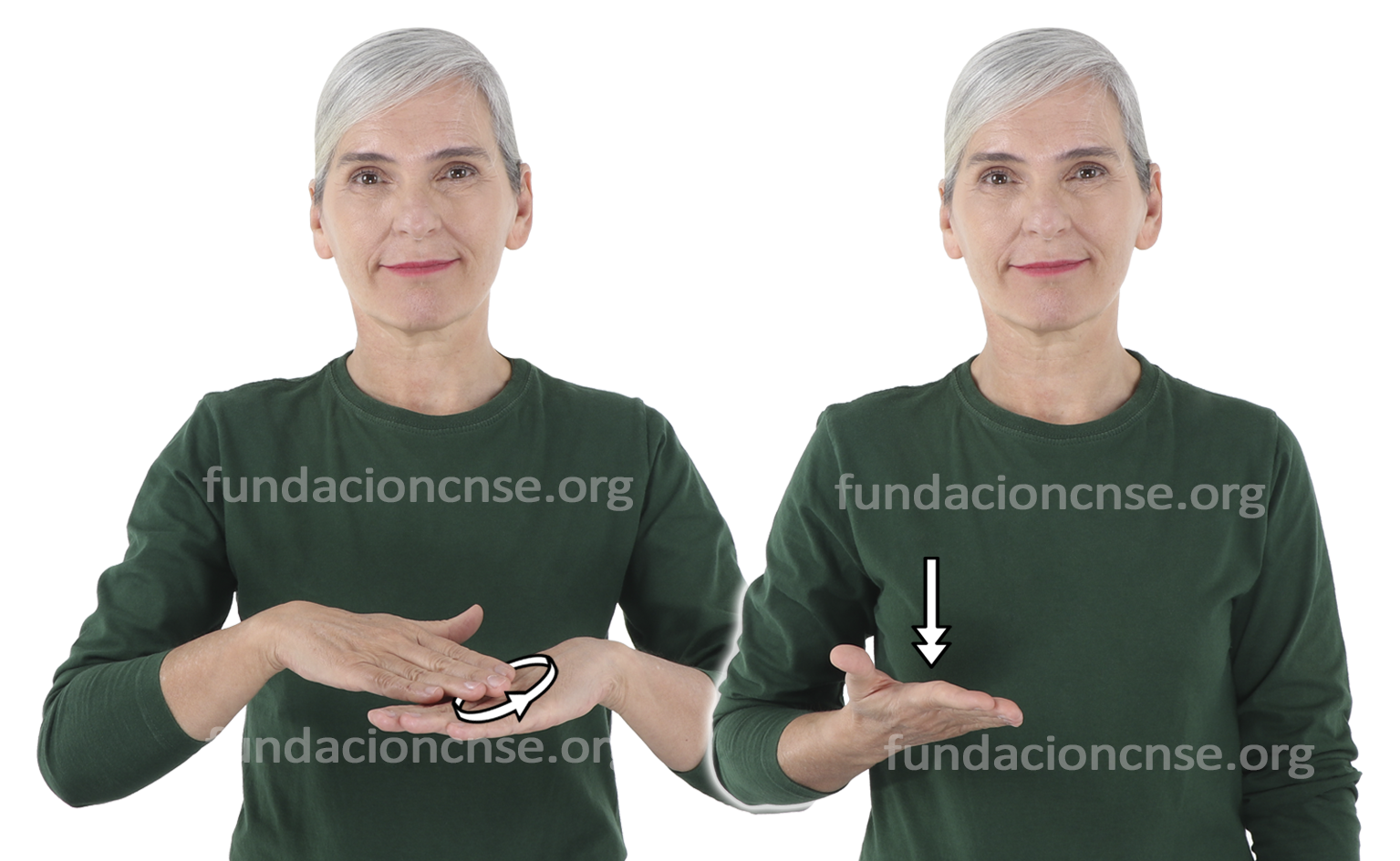 <b>esencial</b>