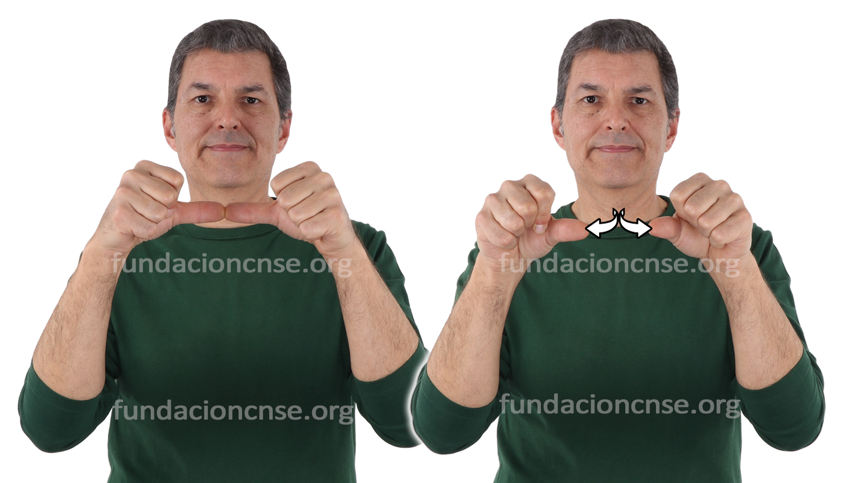 <b>etiqueta</b>