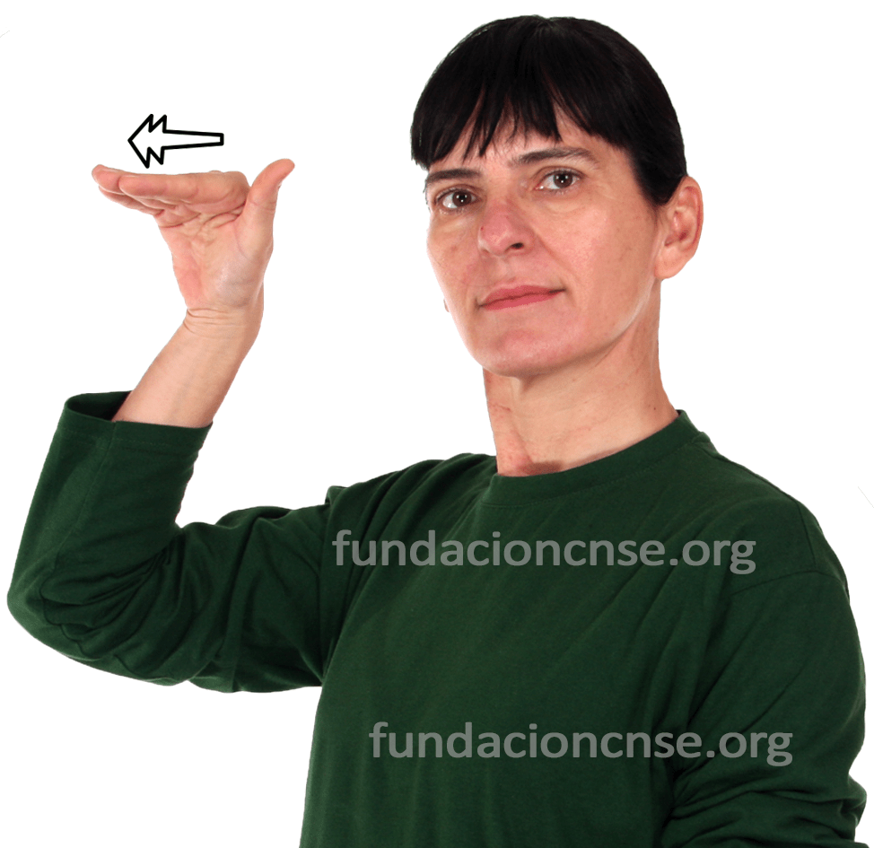 <b>extranjero, ra</b>