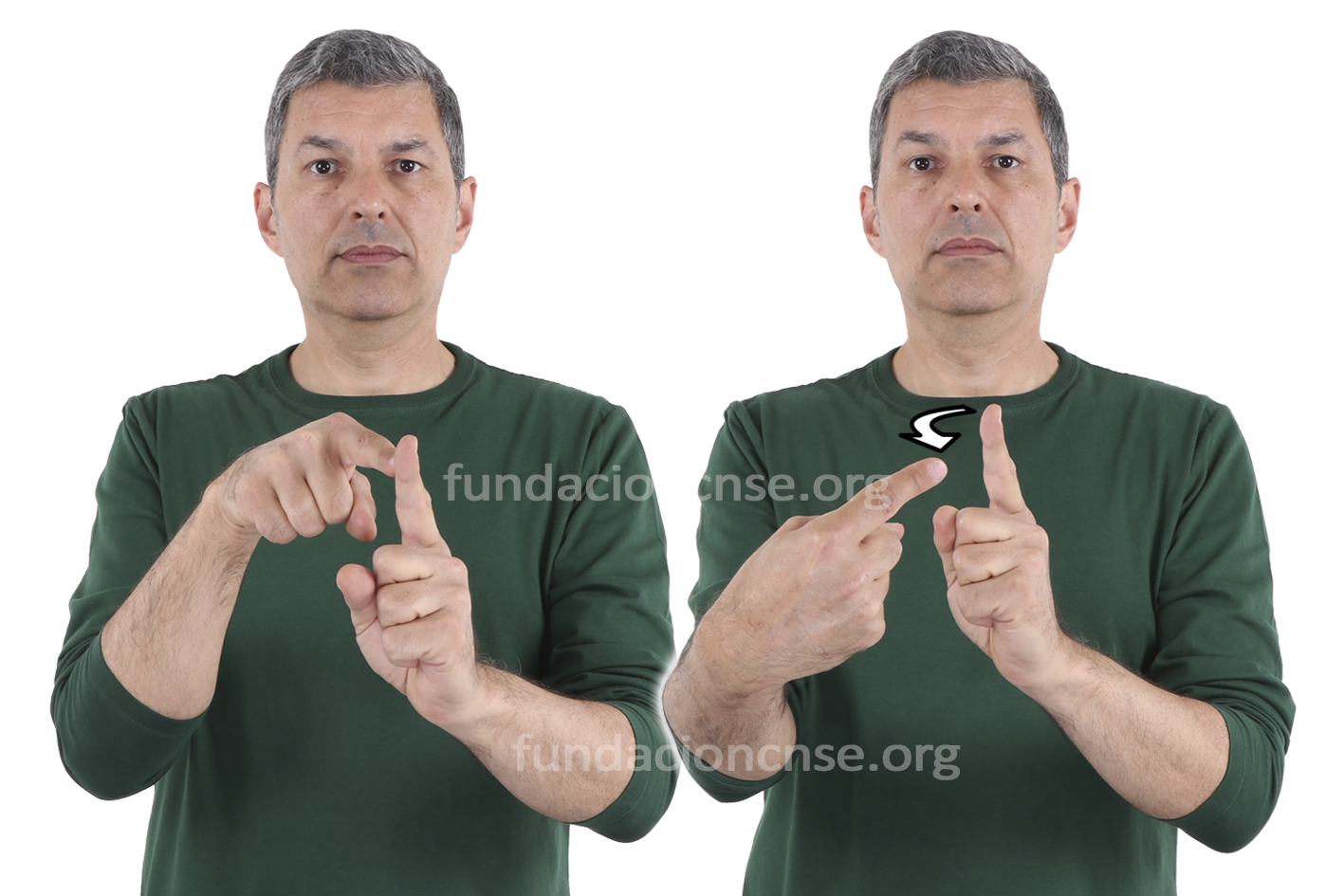 <b>factor</b>