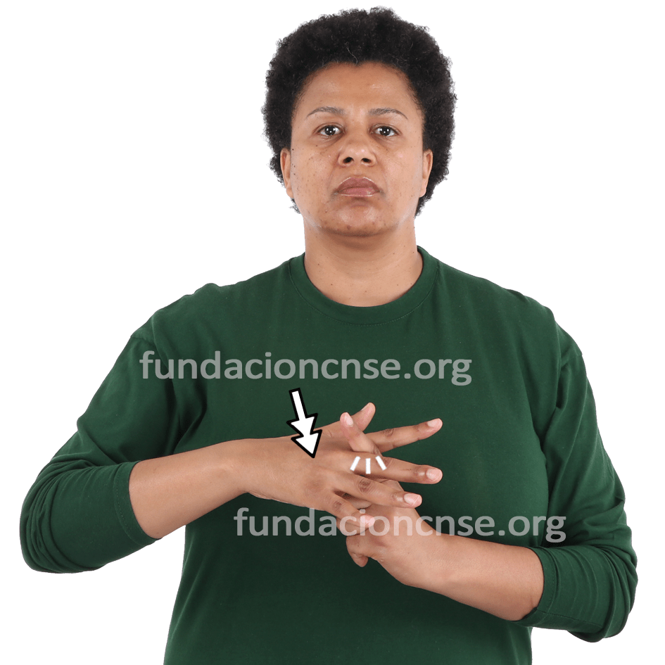 <b>factura</b>