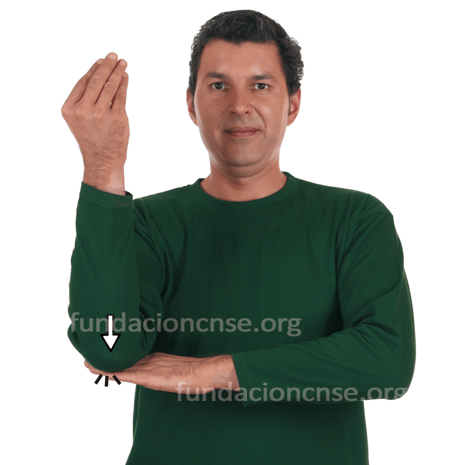 <b>figura</b>