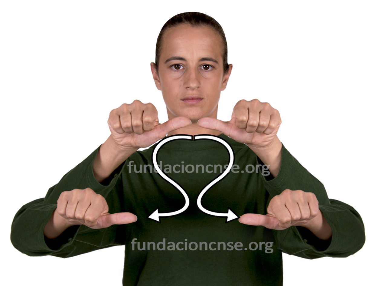<b>figura</b>