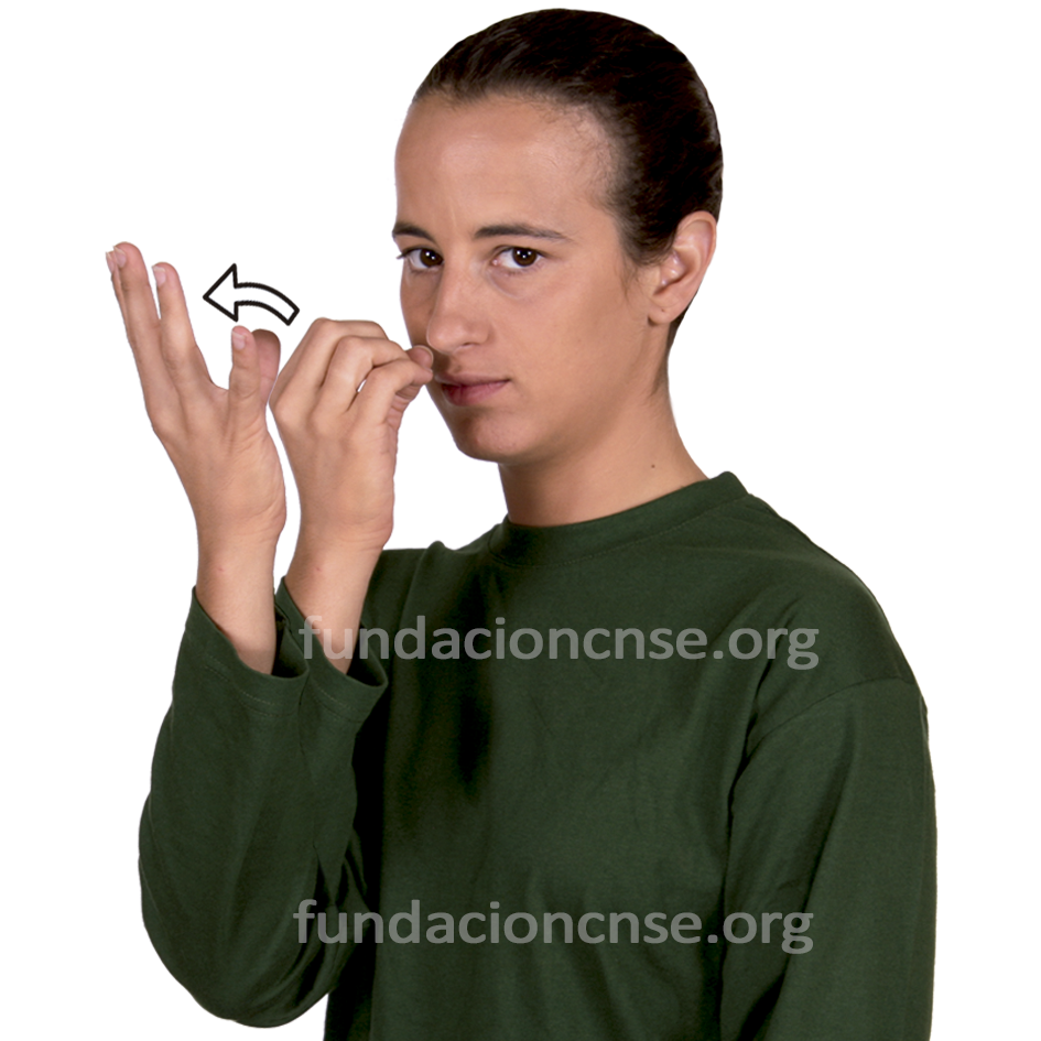<b>flor</b>