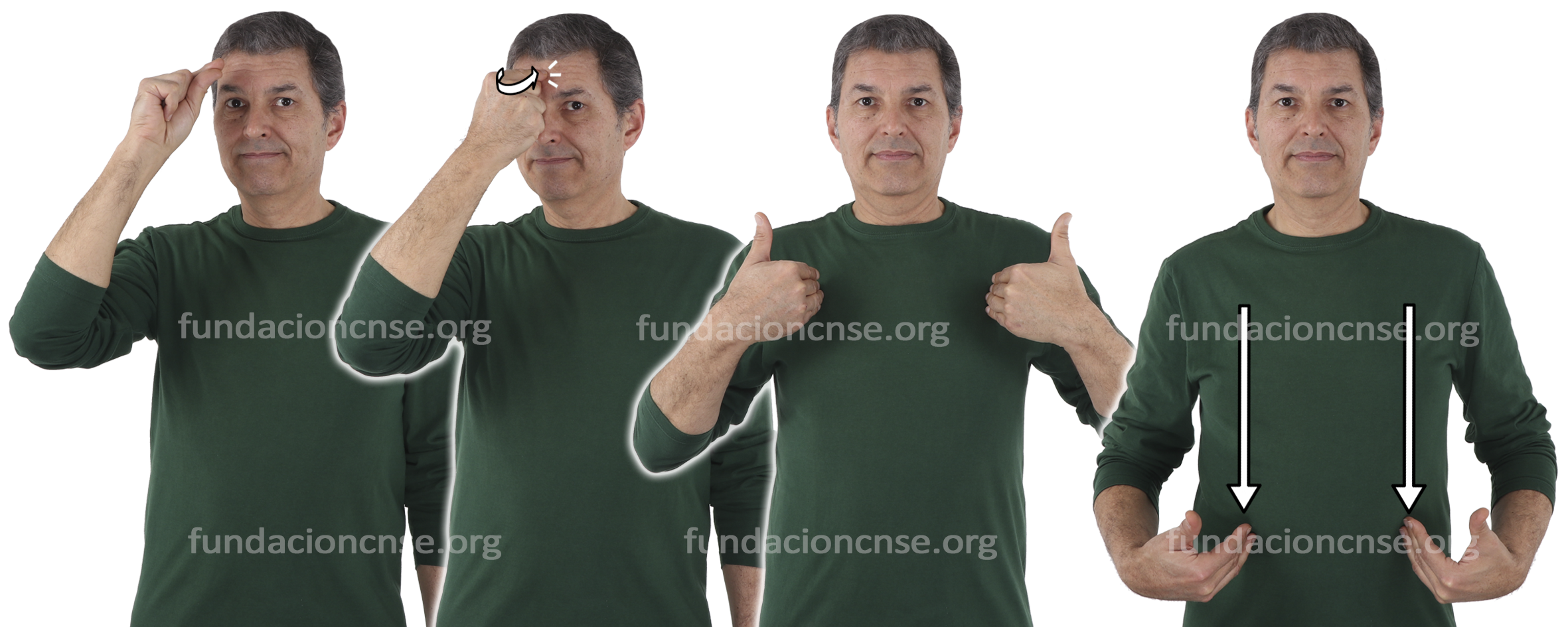 <b>habilidad</b> (<img src='https://fundacioncnse-dilse.org/bddilse/images/cuadro-sublema.png' style='width: 20px;height: 18px;'><b>habilidad</b> personal)