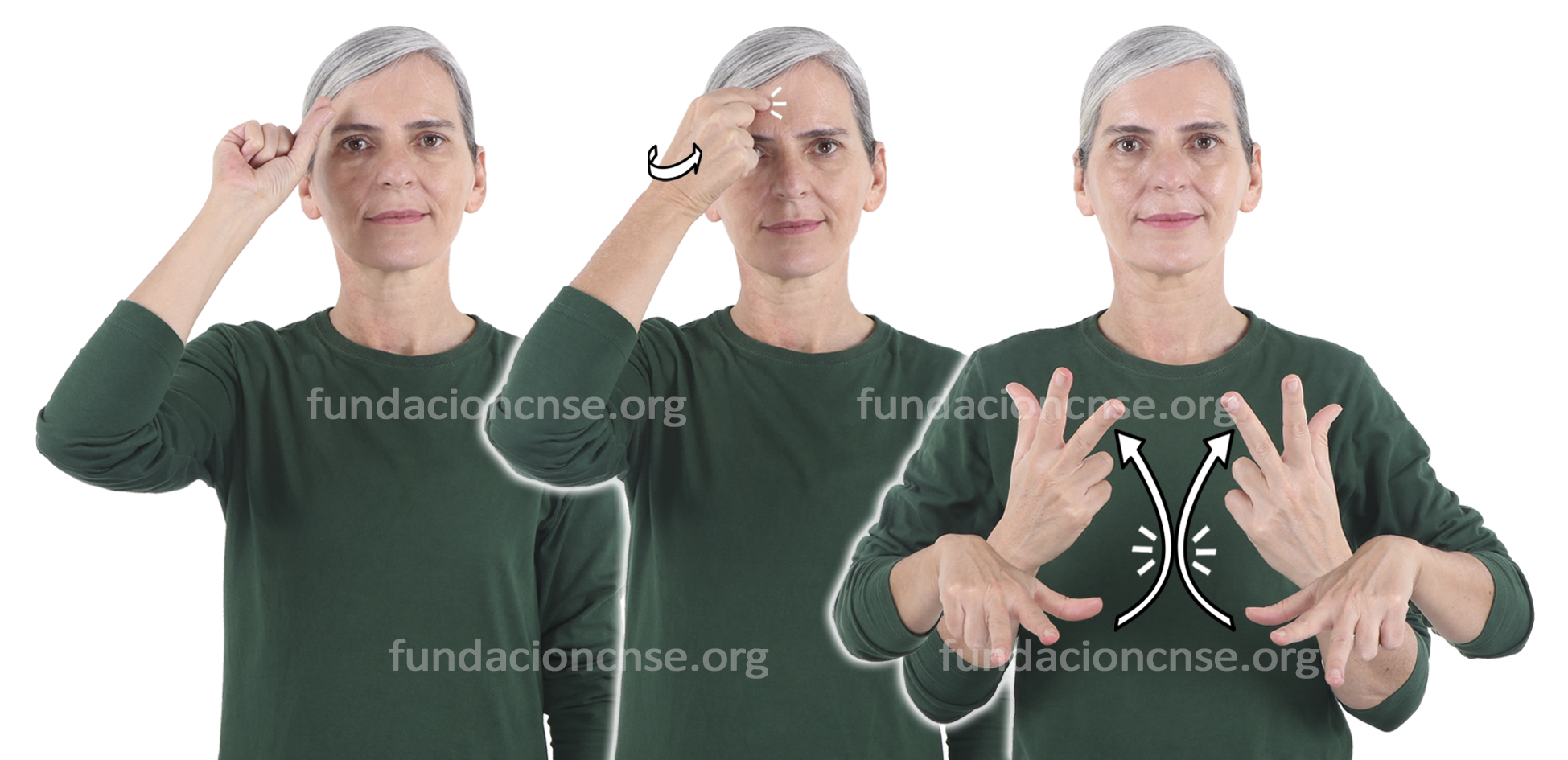 <b>habilidad</b> (<img src='https://fundacioncnse-dilse.org/bddilse/images/cuadro-sublema.png' style='width: 20px;height: 18px;'><b>habilidad</b> social)