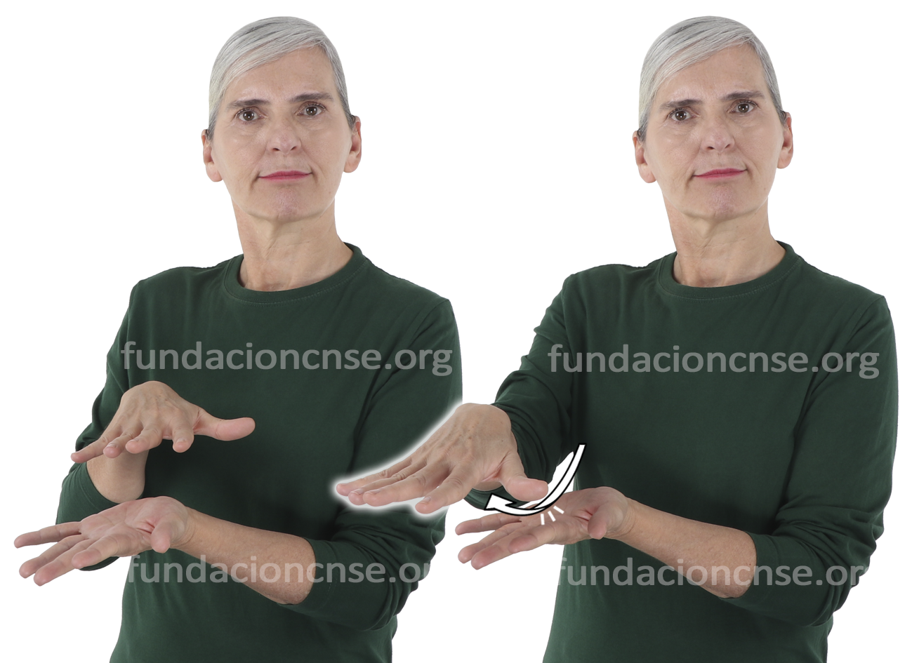 <b>impacto</b>
