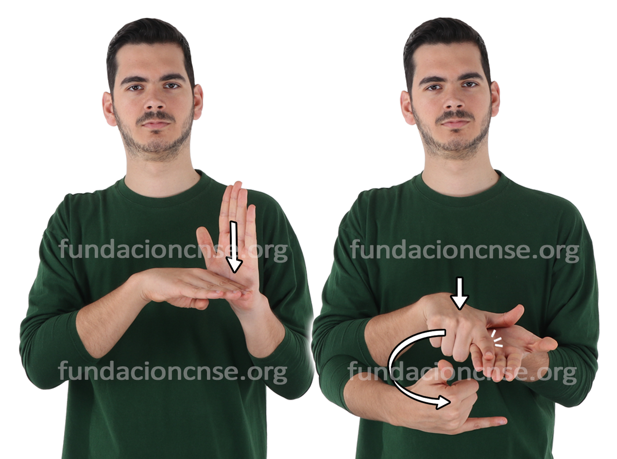 <b>lenguaje</b> de programaci�n
