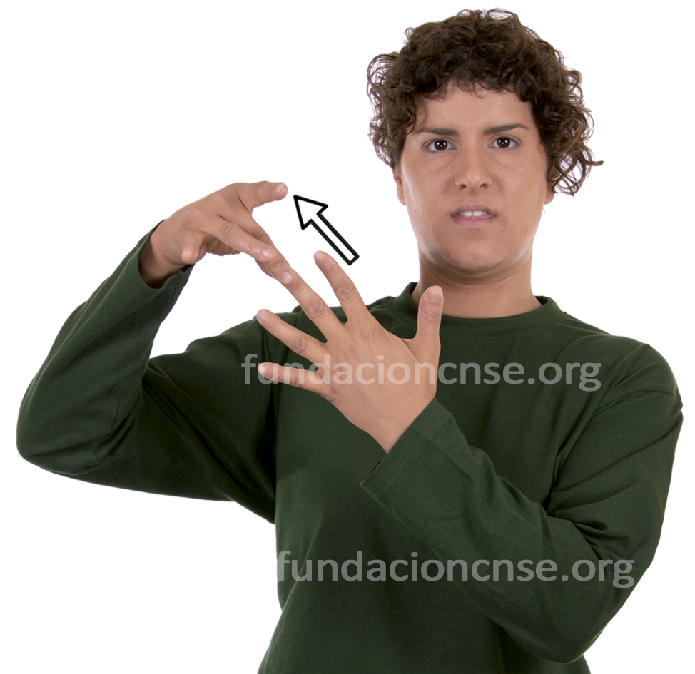 <b>liderazgo</b>