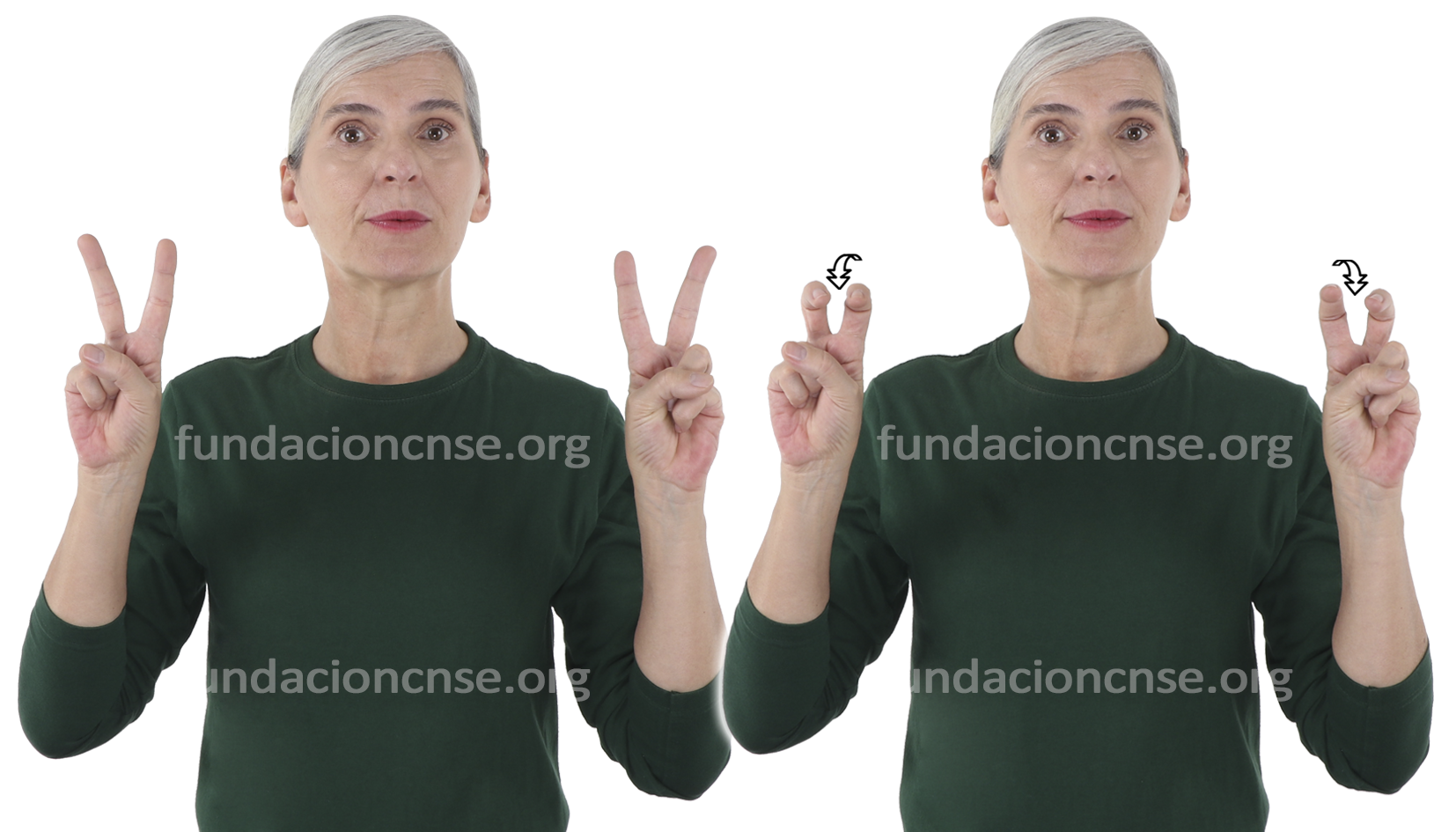 <b>novedoso, sa</b>