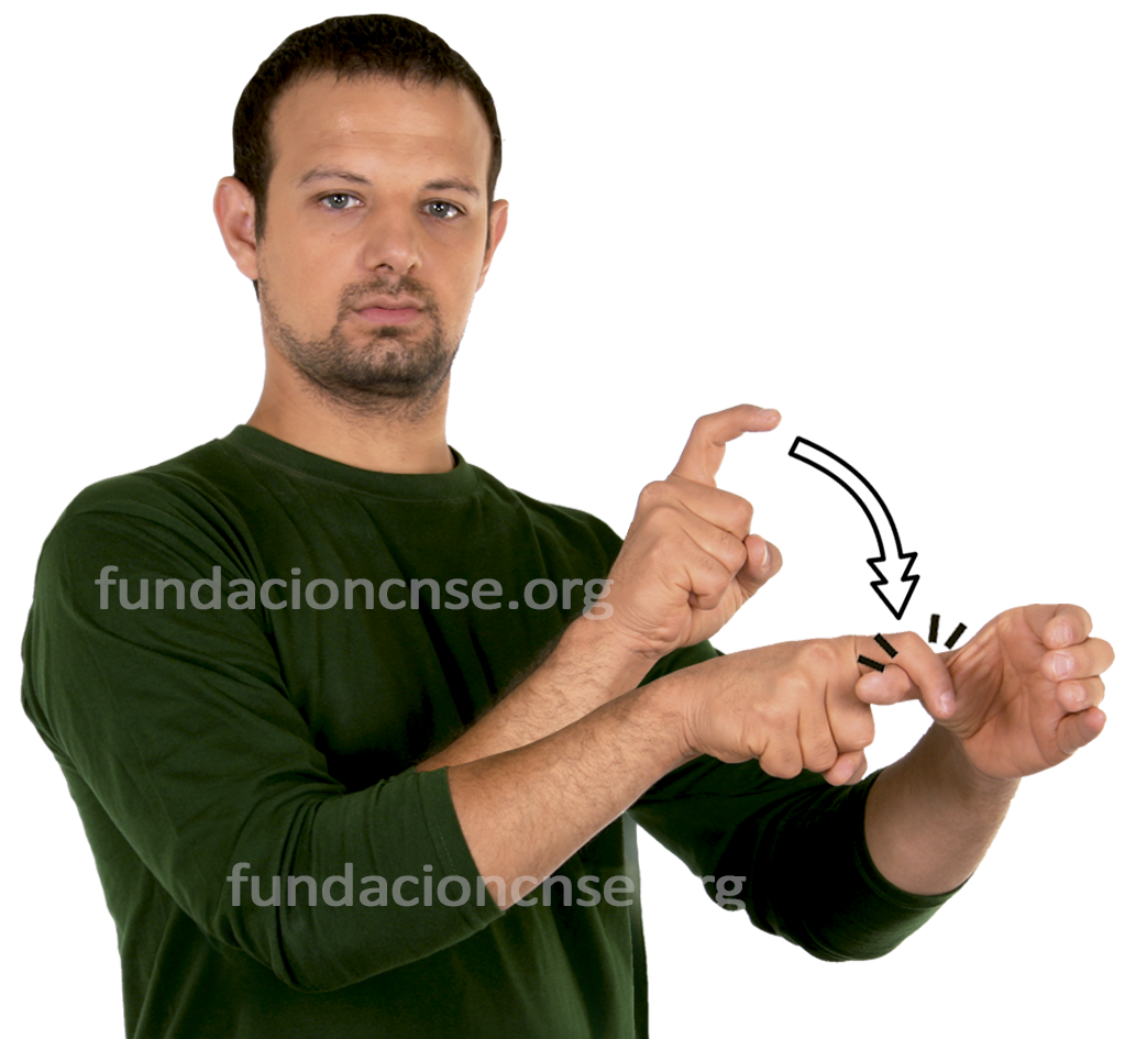 <b>participativo</b>, va
