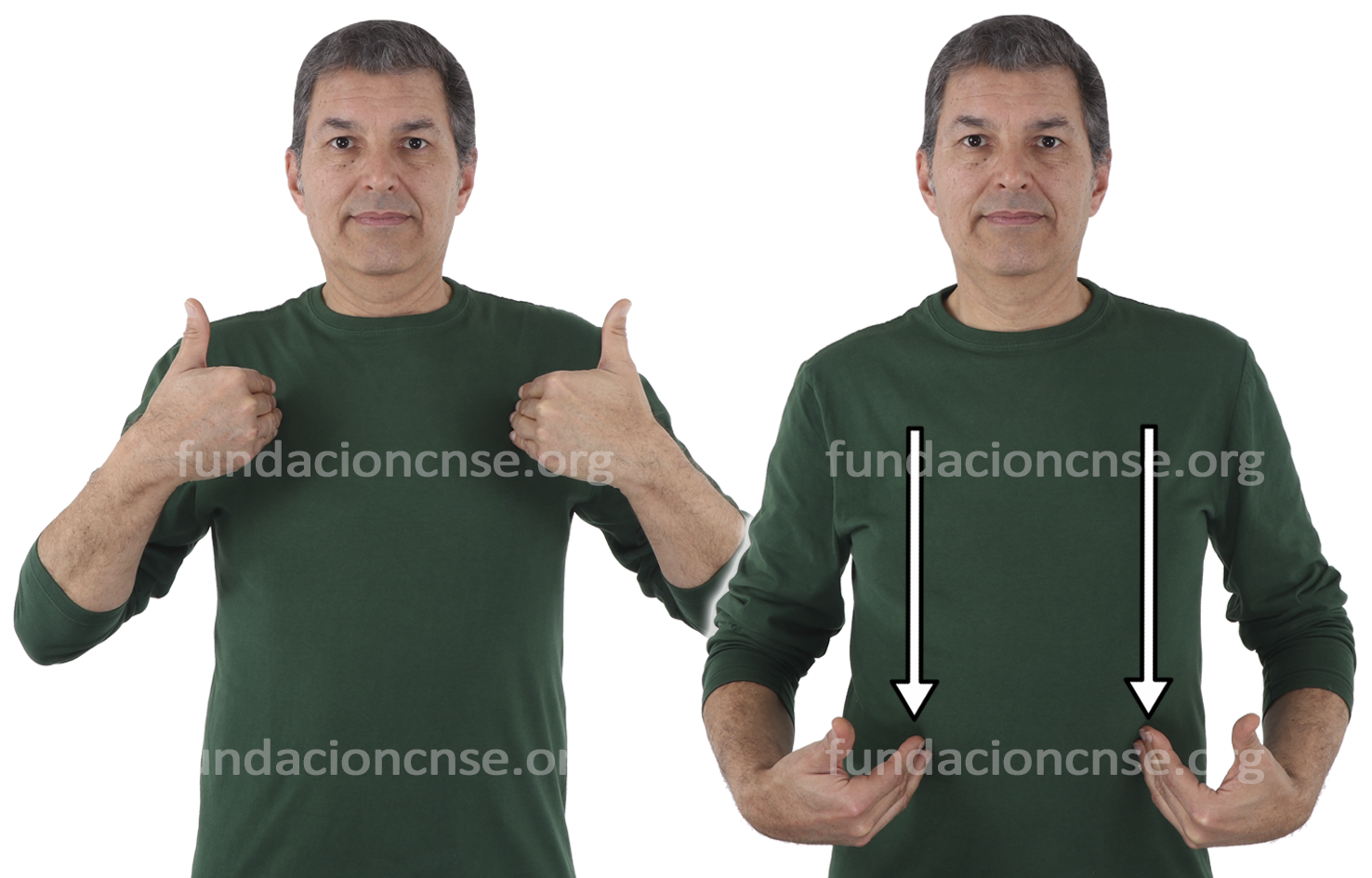 <b>personalidad</b>