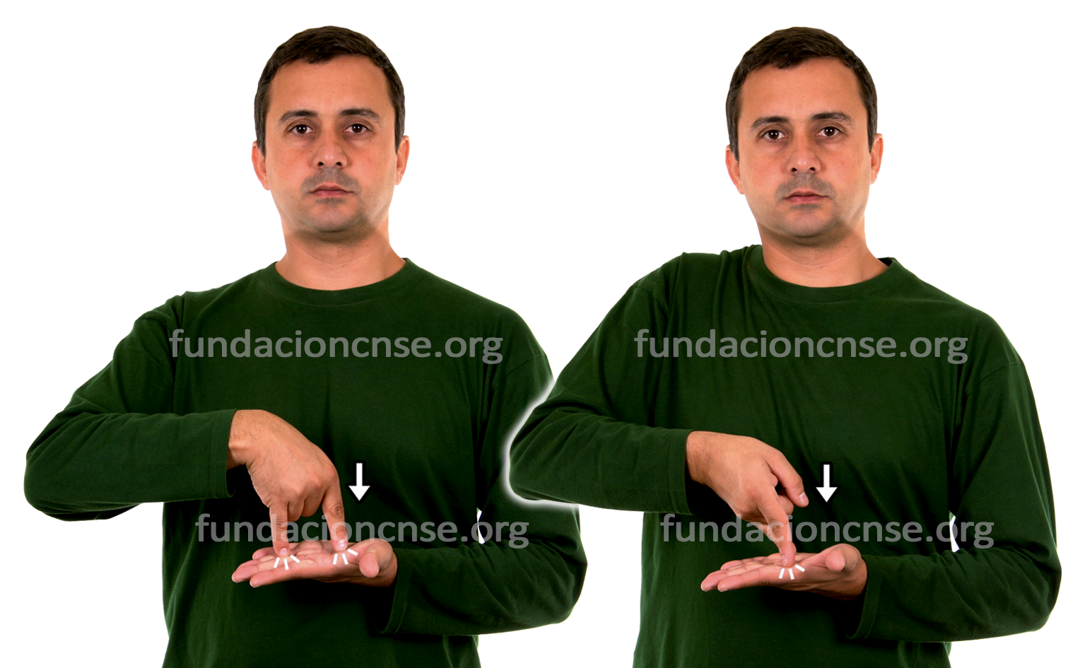 <b>planificar</b>