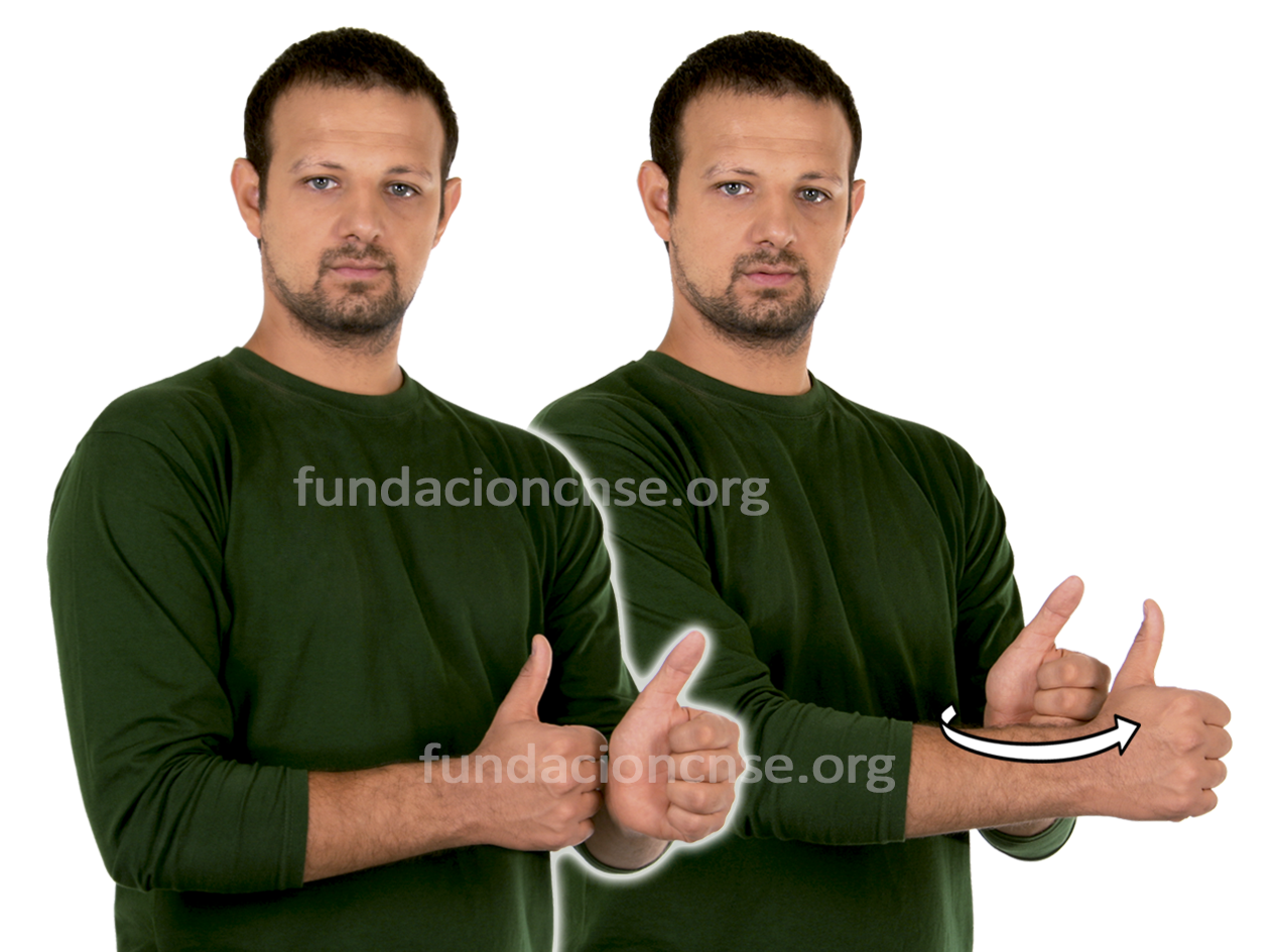 <b>preferencia</b>