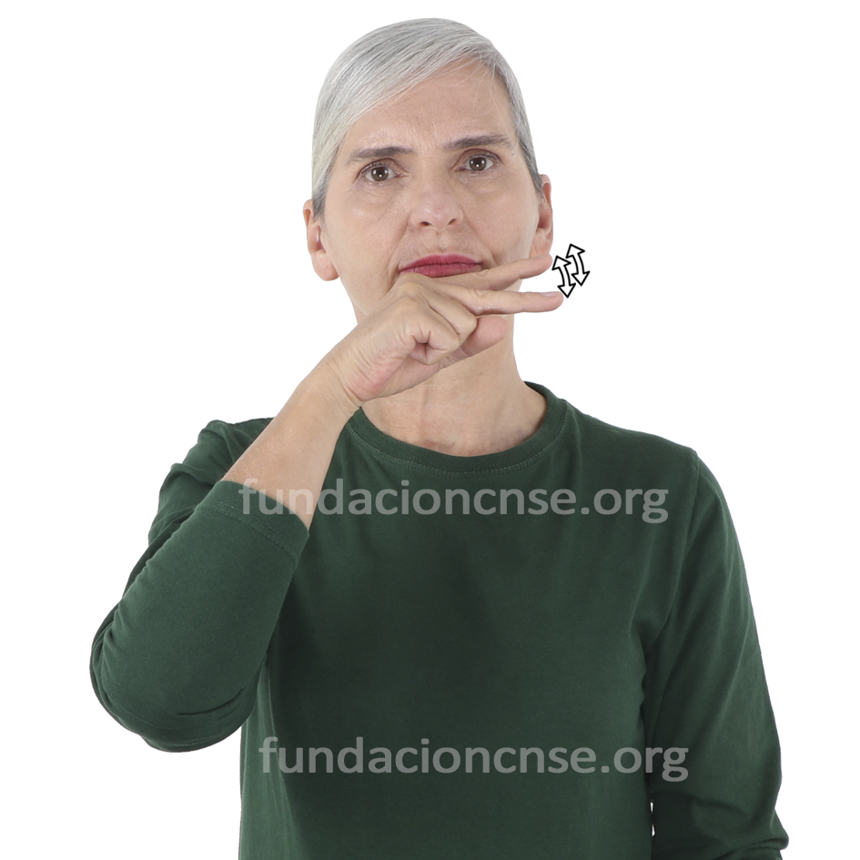 pronunciaci�n 