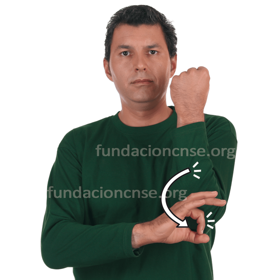 <b>tarea</b>