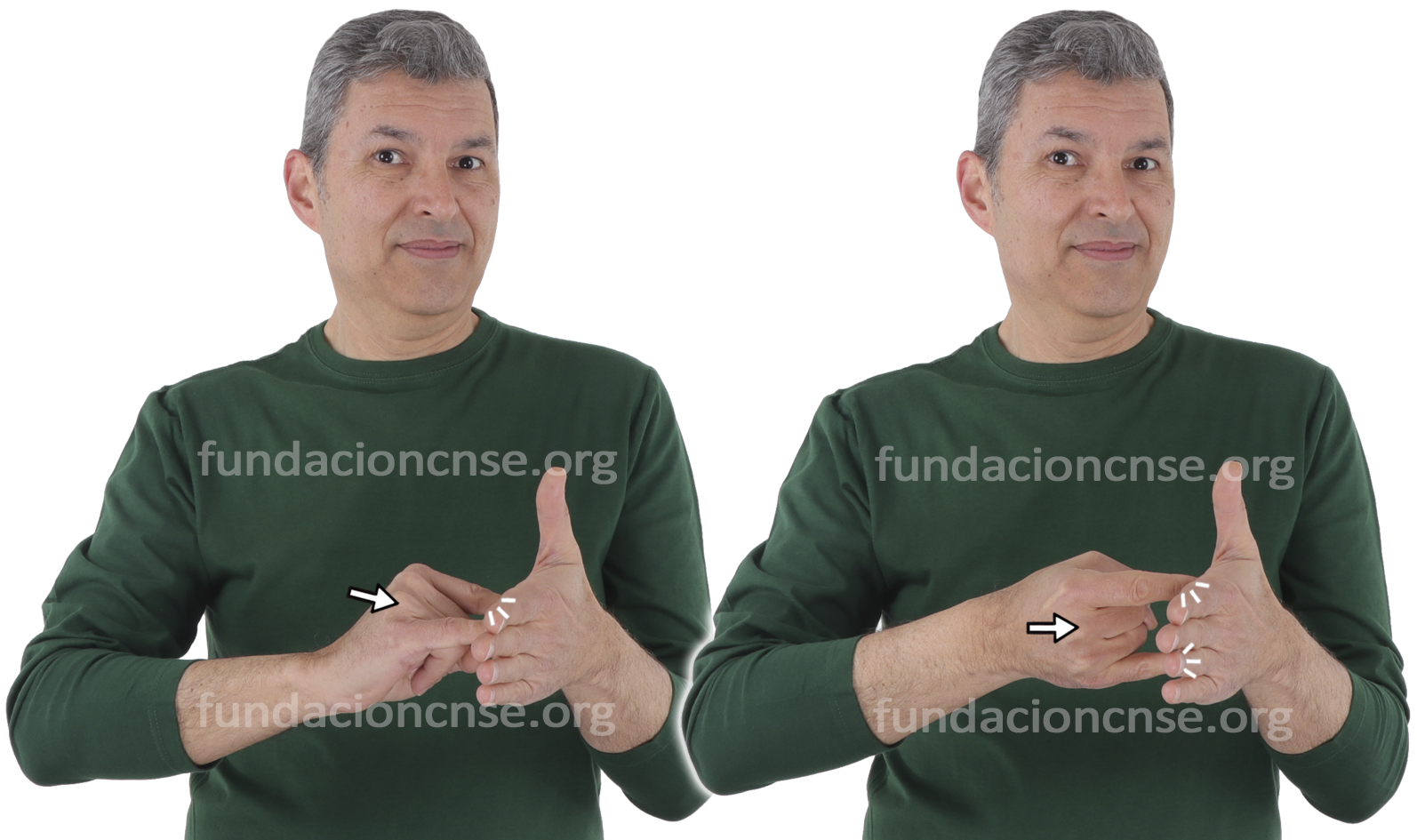 t�cnico, ca