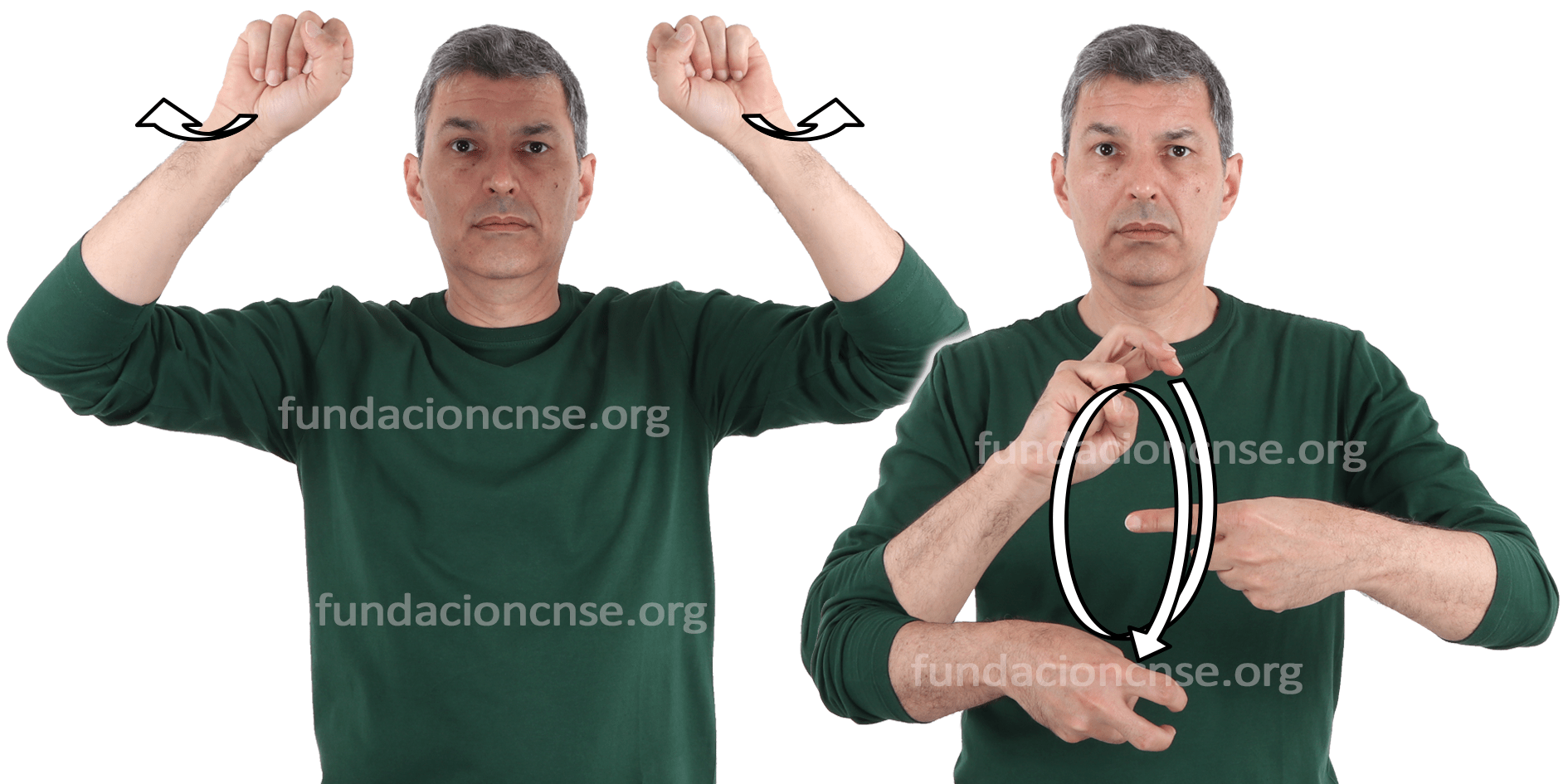 <b>trapecista</b>