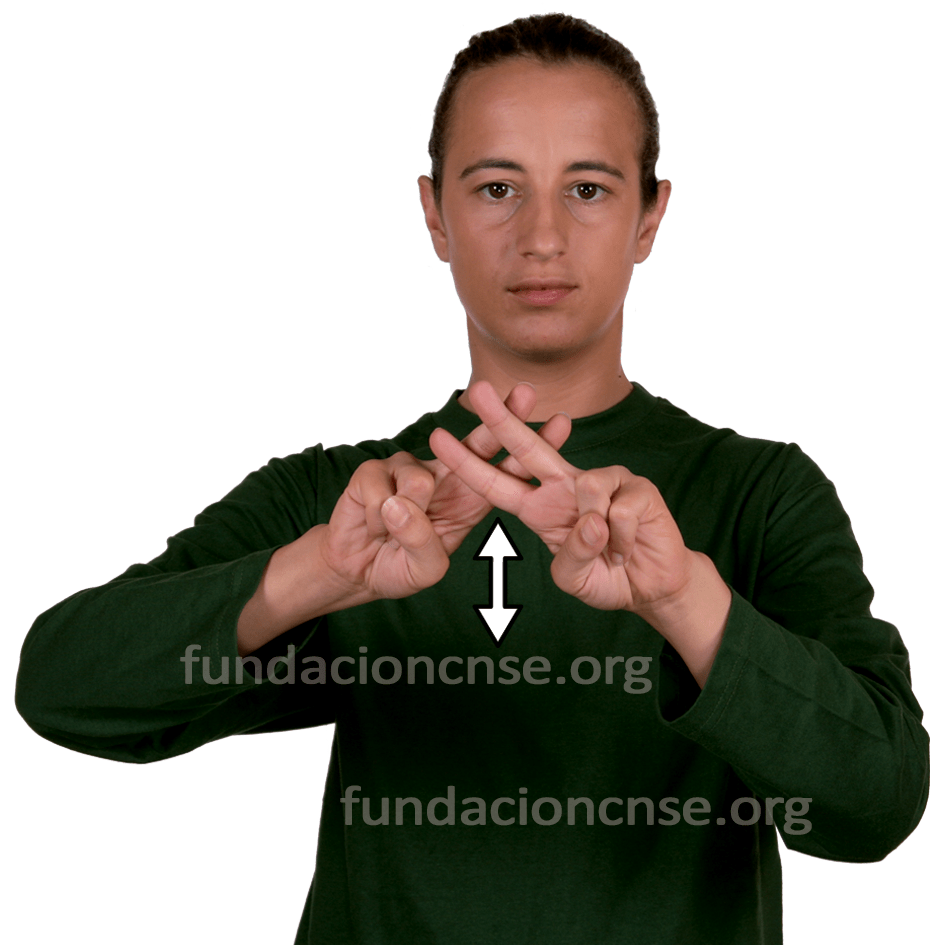<b>ver</b>