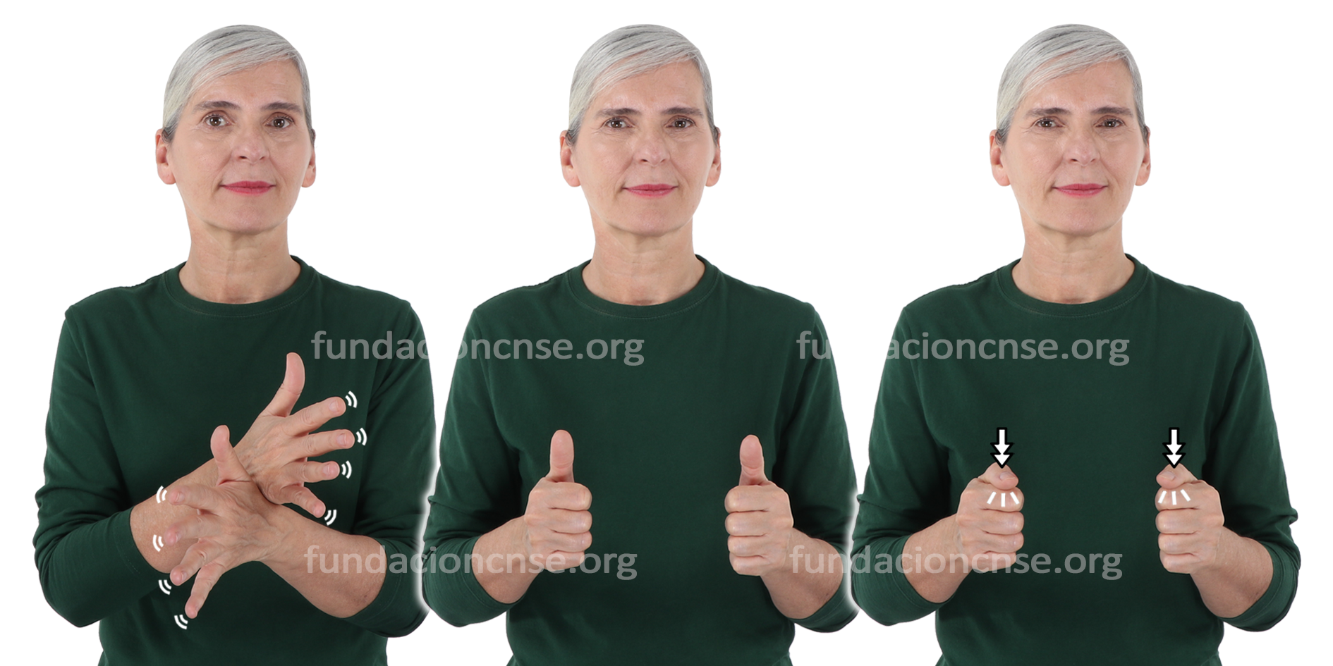 <b>videojuego</b>